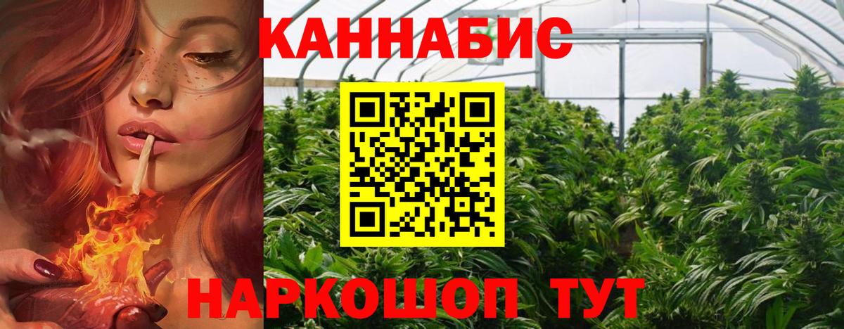 Каннабис OG Kush  Шишки марихуана SATIVA & INDICA  Белово  Конопля план  Вход с VPN 